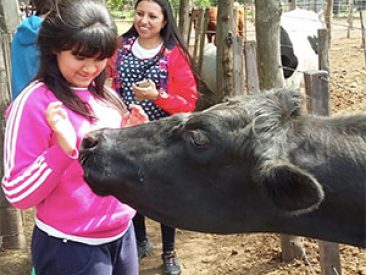 CENTRO DE APOYO A LA INTEGRACION ESCOLAR – Galería CENTRO DE APOYO A LA INTEGRACION ESCOLAR - Galería
