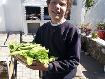 CENTRO DE APOYO A LA INTEGRACION ESCOLAR – Galería CENTRO DE APOYO A LA INTEGRACION ESCOLAR - Galería